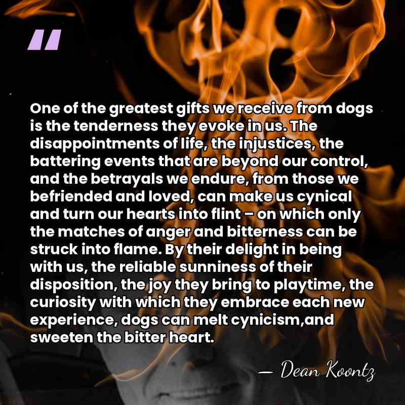 One of the greatest gifts we receive from dogs is the tenderness&hellip; - Dean Koontz