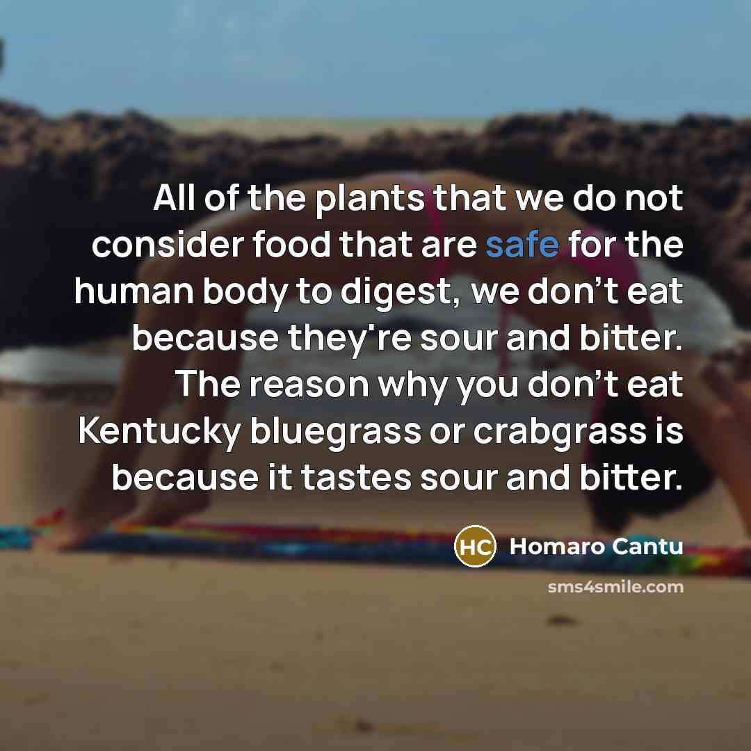 “All of the plants that we do not consider food…” quote by Homaro Cantu