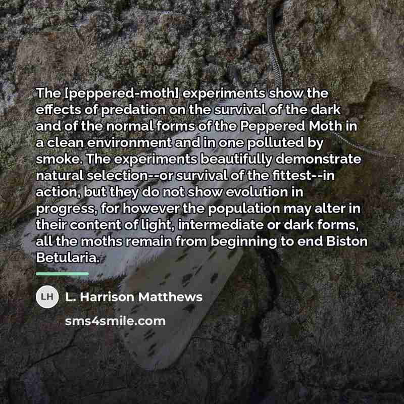 “The [peppered-moth] experiments show the effects of predation on the…” quote by L. Harrison Matthews