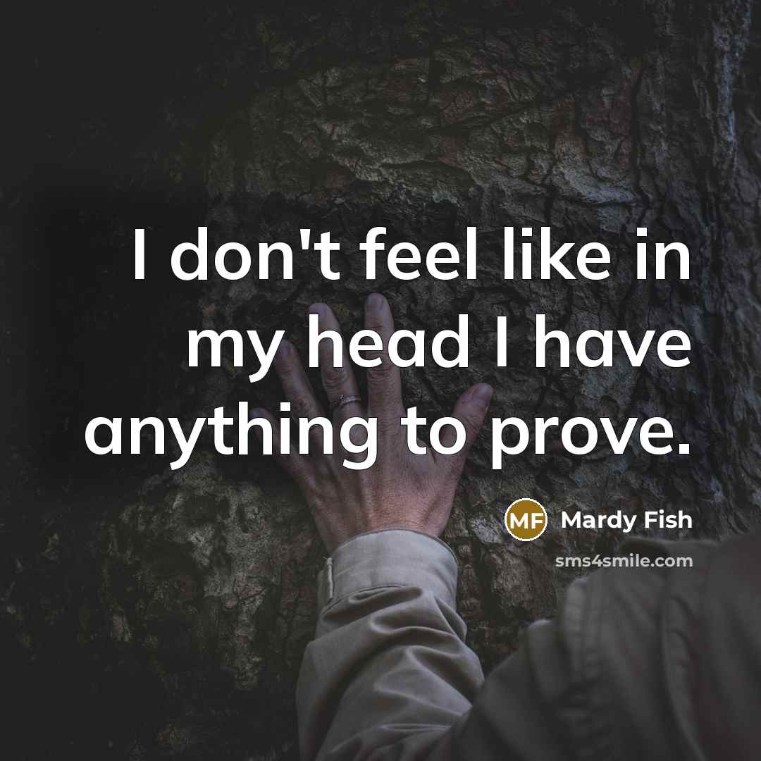“I don't feel like in my head I have anything…” quote by Mardy Fish