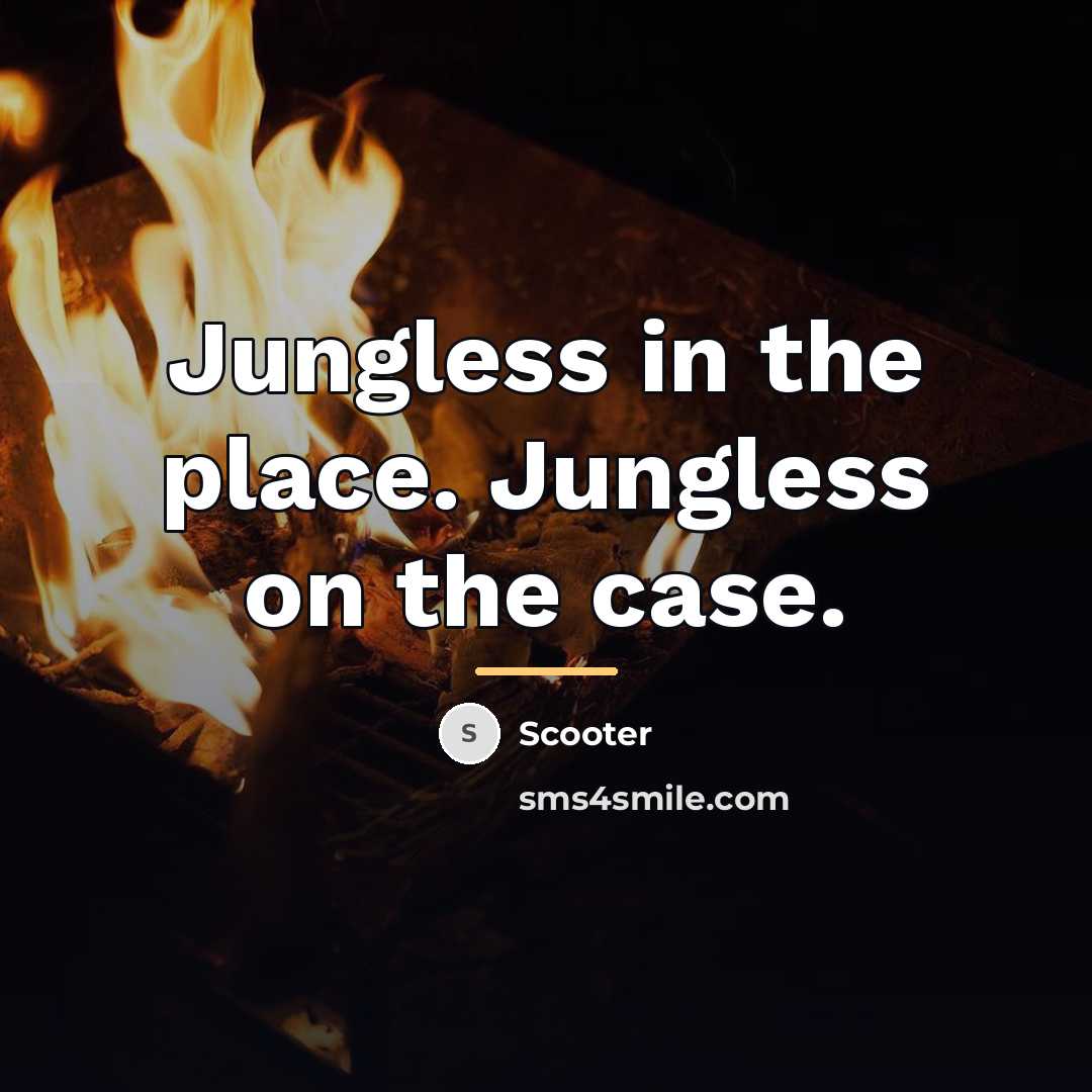 “Jungless in the place. Jungless on the case.…” quote by Scooter