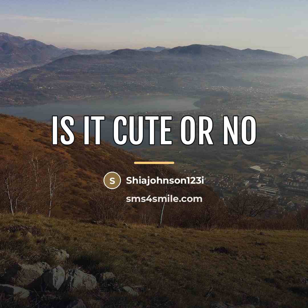“Is it cute or no…” quote by Shiajohnson123i