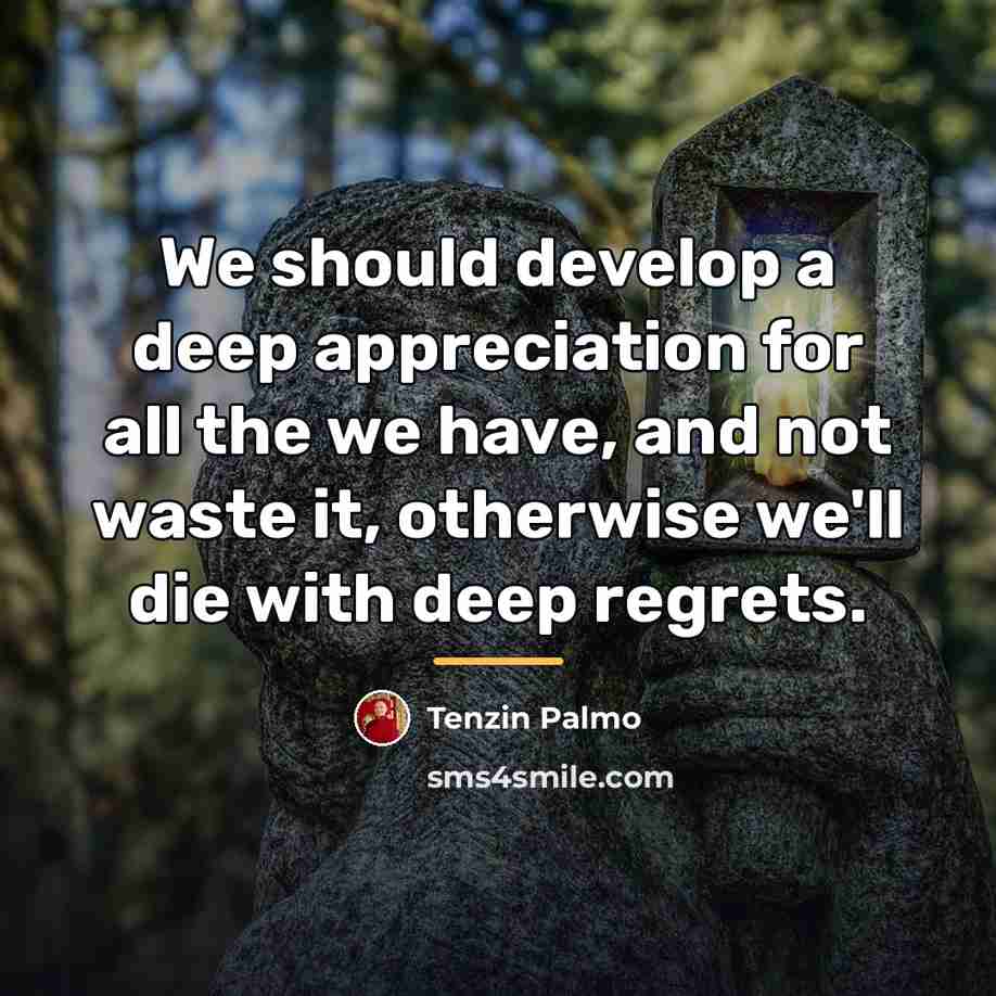 “We should develop a deep appreciation for all the we…” quote by Tenzin Palmo