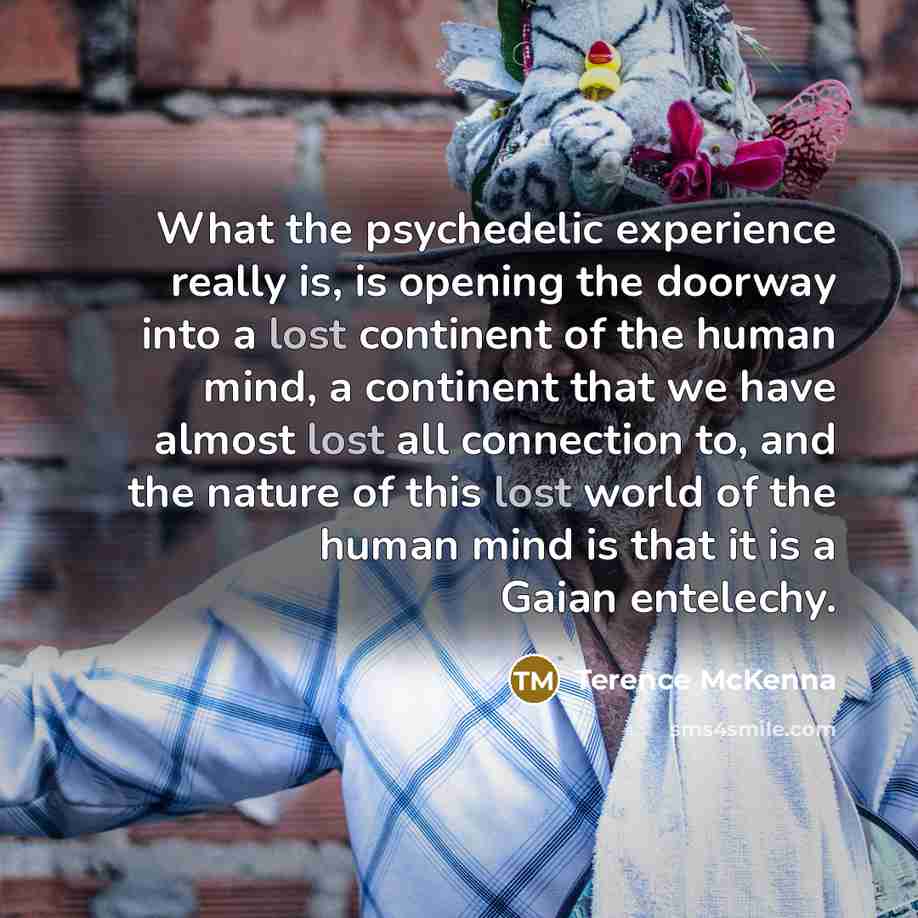 “What the psychedelic experience really is, is opening the doorway…” quote by Terence McKenna