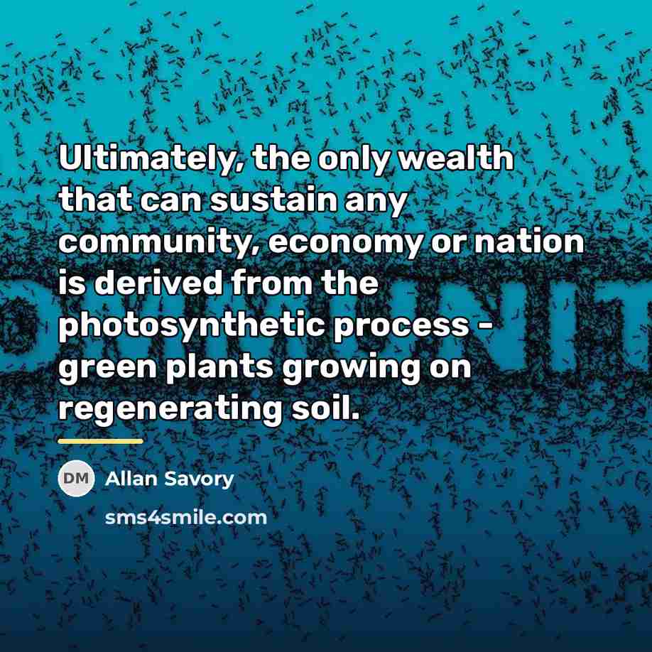 “Ultimately, the only wealth that can sustain any community, economy…” quote by Allan Savory