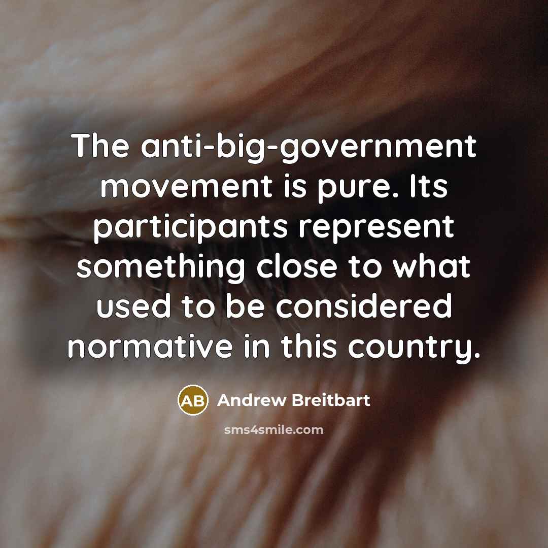 “The anti-big-government movement is pure. Its participants represent something close…” quote by Andrew Breitbart