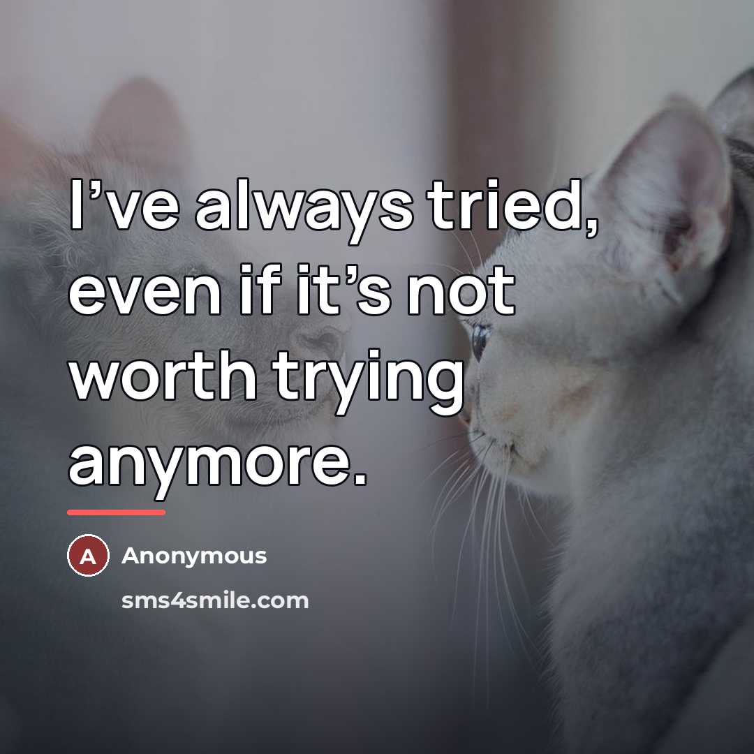 “I've always tried, even if it's not worth trying anymore.…” quote by Anonymous