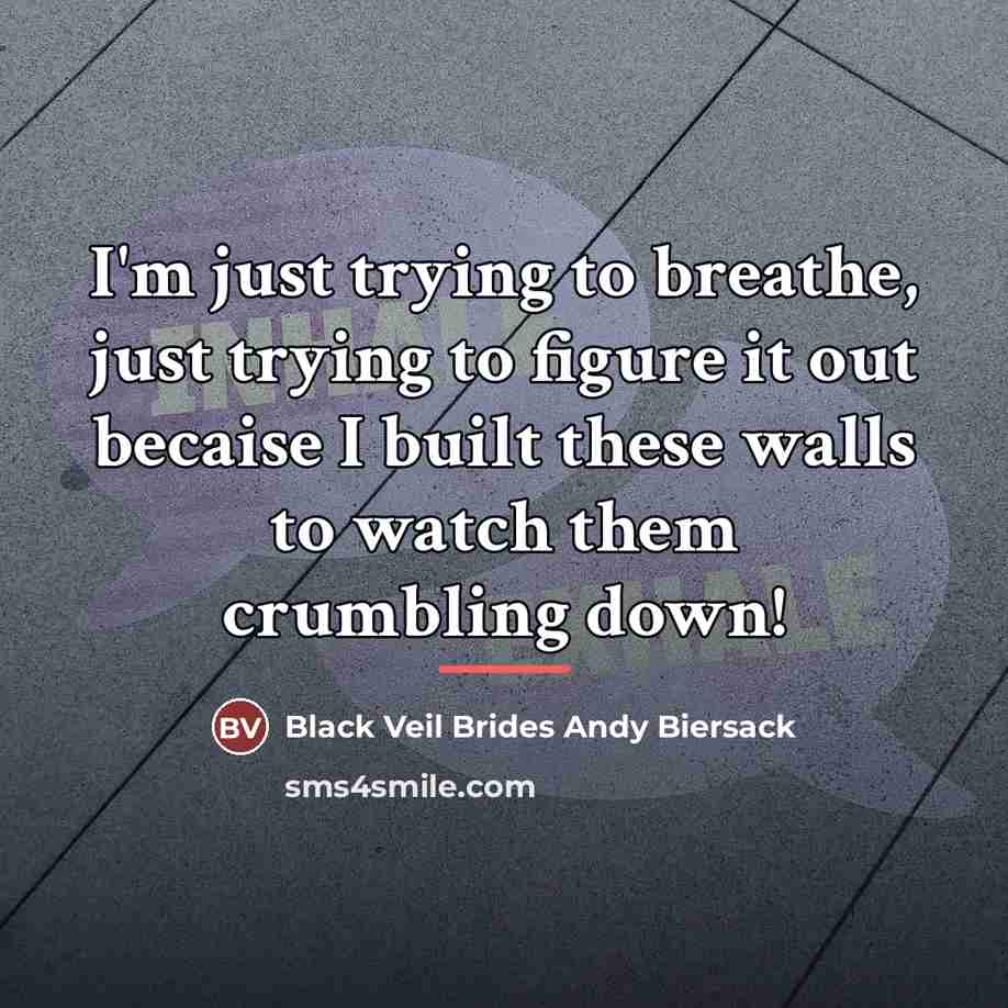 “I'm just trying to breathe, just trying to figure it…” quote by Black Veil Brides Andy Biersack