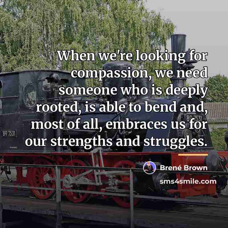 “When we're looking for compassion, we need someone who is…” quote by Brene Brown