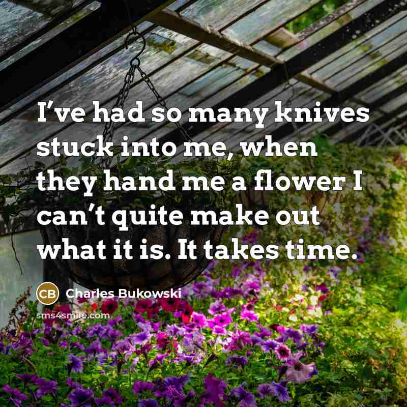 “I’ve had so many knives stuck into me, when they…” quote by Charles Bukowski