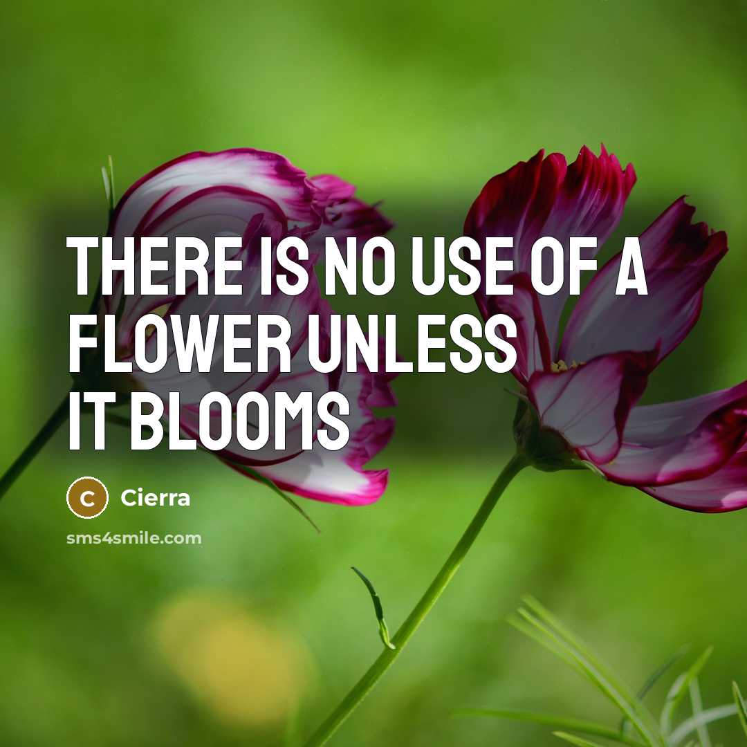 “There is no use of a flower unless it blooms…” quote by Cierra