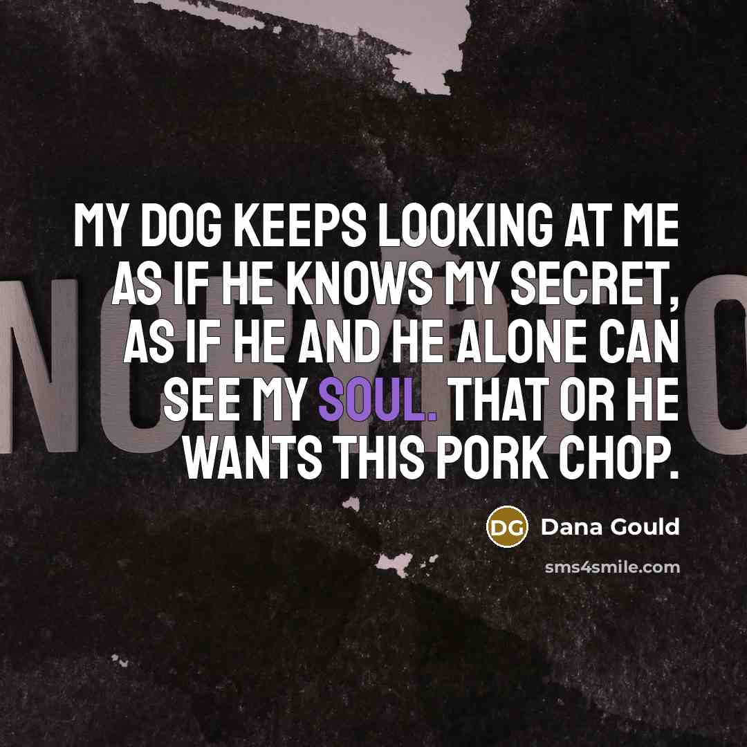 “My dog keeps looking at me as if he knows…” quote by Dana Gould