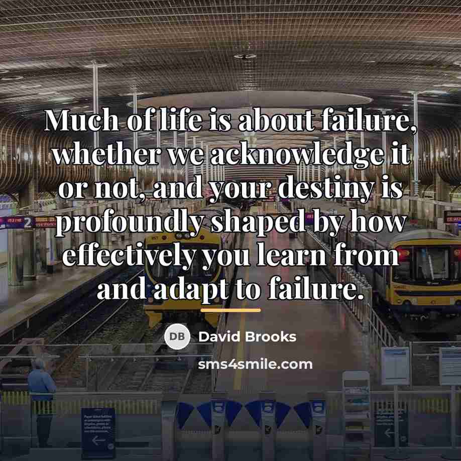 “Much of life is about failure, whether we acknowledge it…” quote by David Brooks