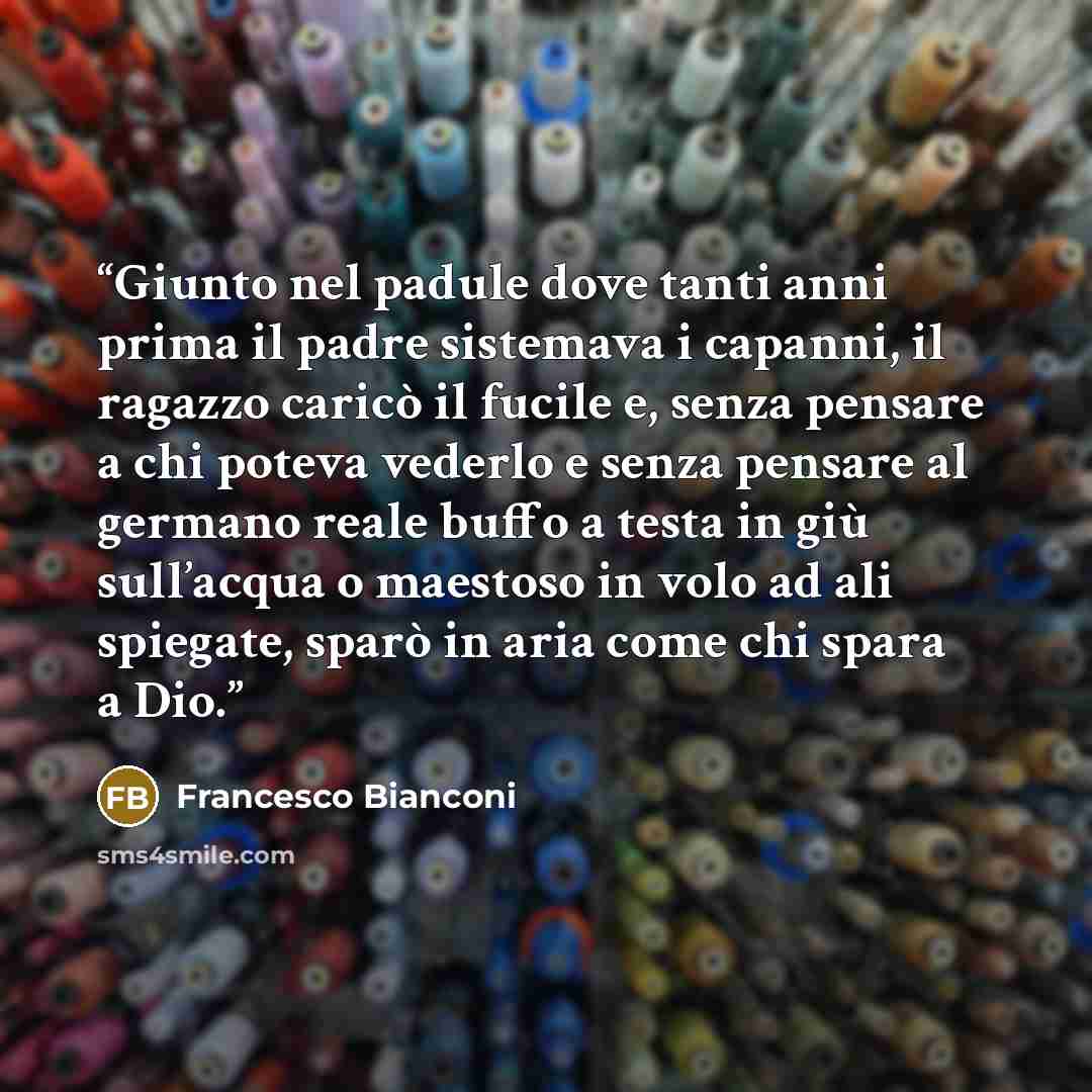 “Giunto nel padule dove tanti anni prima il padre sistemava i capanni, il ragazzo caricò il fucile e, senza pensare a chi poteva vederlo e senza pensare al germano reale buffo a testa in giù sull’acqua o maestoso in volo ad ali spiegate, sparò in aria come chi spara a Dio.” quote by Francesco Bianconi