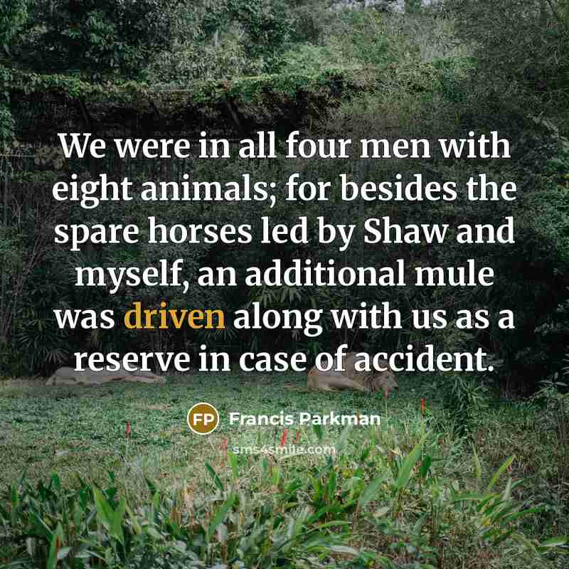 “We were in all four men with eight animals; for…” quote by Francis Parkman