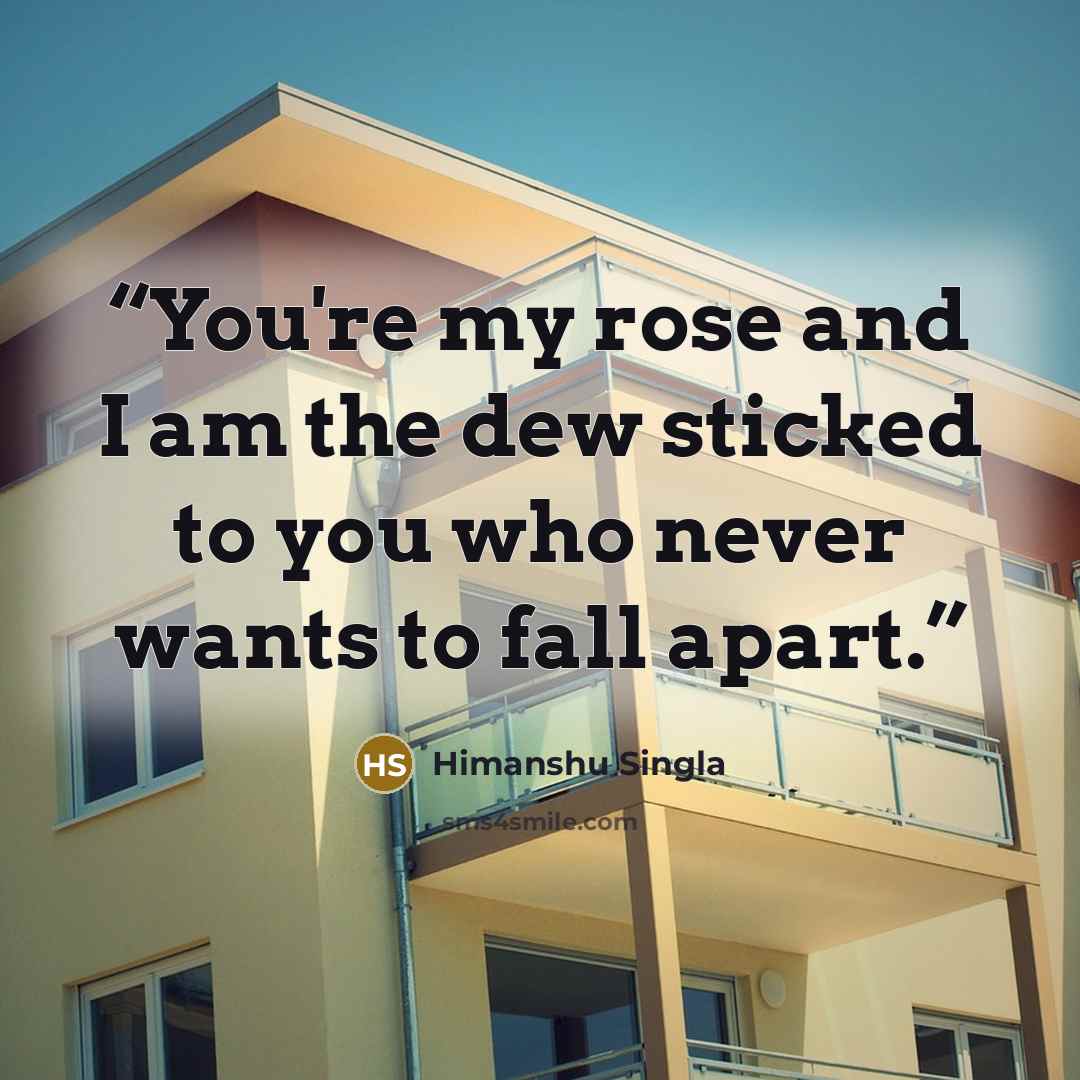 “You're my rose and I am the dew sticked to you who never wants to fall apart.” quote by Himanshu Singla