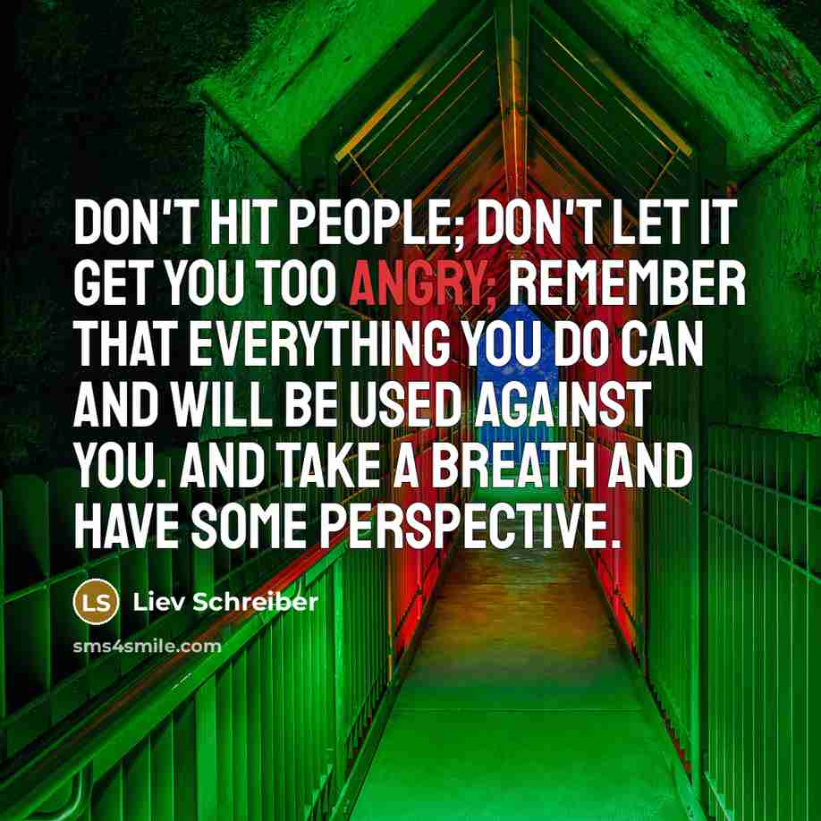 “Don't hit people; don't let it get you too angry;…” quote by Liev Schreiber