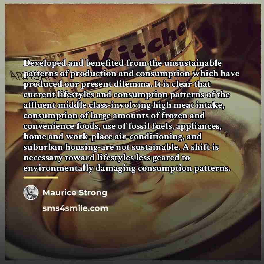 “Developed and benefited from the unsustainable patterns of production and…” quote by Maurice Strong