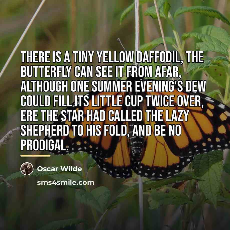 “There is a tiny yellow daffodil, The butterfly can see…” quote by Oscar Wilde
