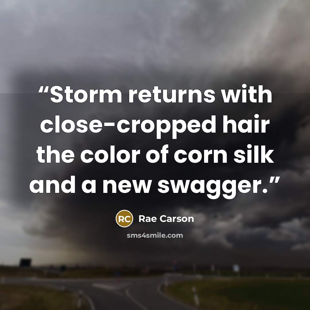 “Storm returns with close-cropped hair the color of corn silk and a new swagger.” quote by Rae Carson