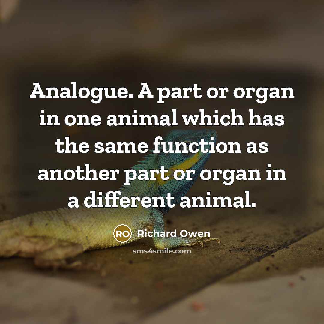 “Analogue. A part or organ in one animal which has…” quote by Richard Owen