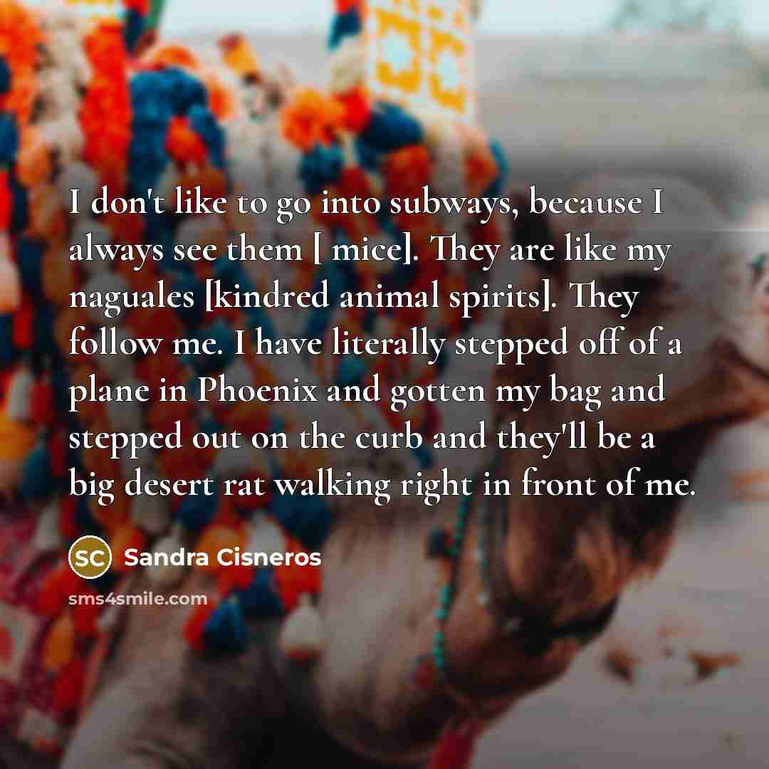 “I don't like to go into subways, because I always…” quote by Sandra Cisneros