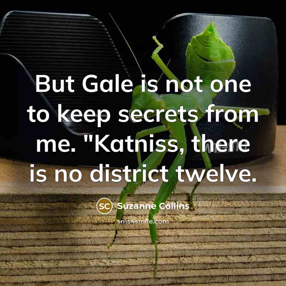 “But Gale is not one to keep secrets from me.…” quote by Suzanne Collins