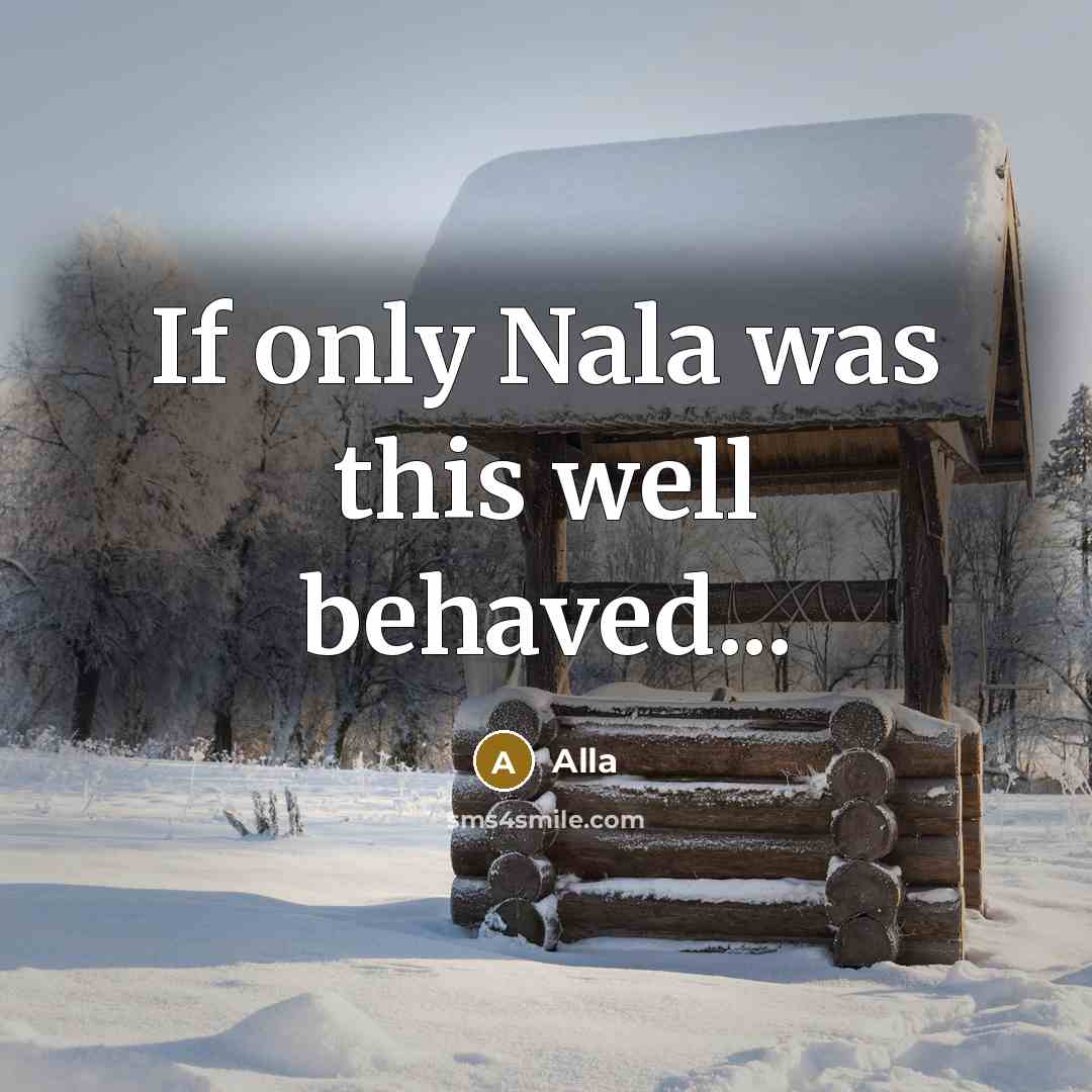 “If only Nala was this well behaved...” quote by Alla