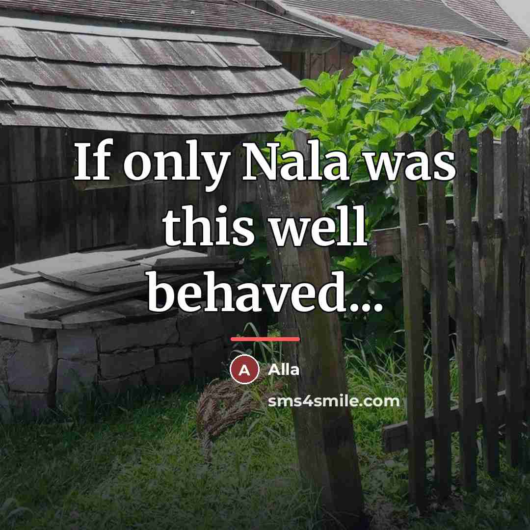 “If only Nala was this well behaved...…” quote by Alla