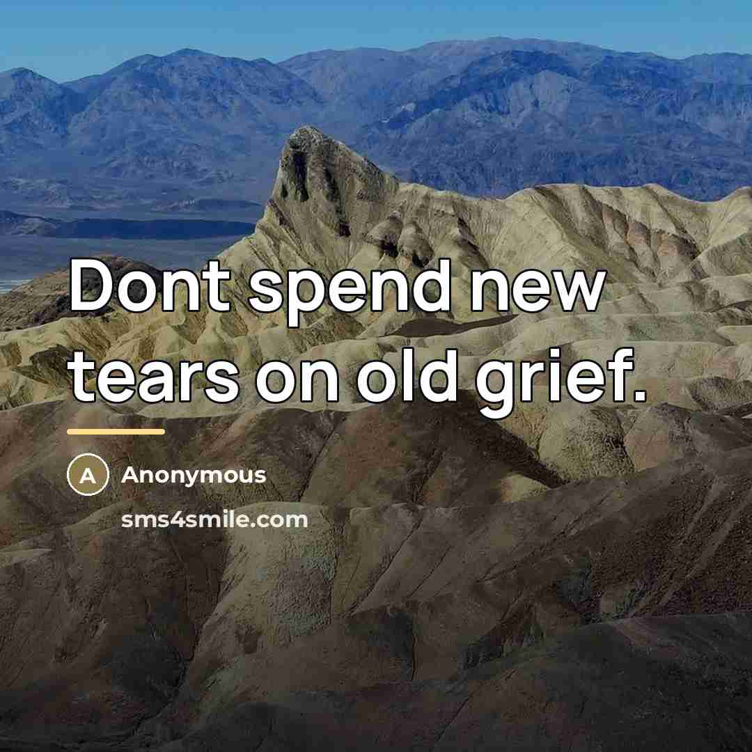 “Dont spend new tears on old grief.…” quote by Anonymous