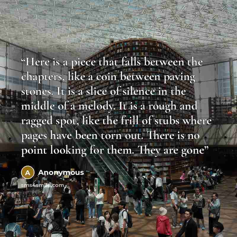 “Here is a piece that falls between the chapters, like a coin between paving stones. It is a slice of silence in the middle of a melody. It is a rough and ragged spot, like the frill of stubs where pages have been torn out. There is no point looking for them. They are gone” quote by Anonymous