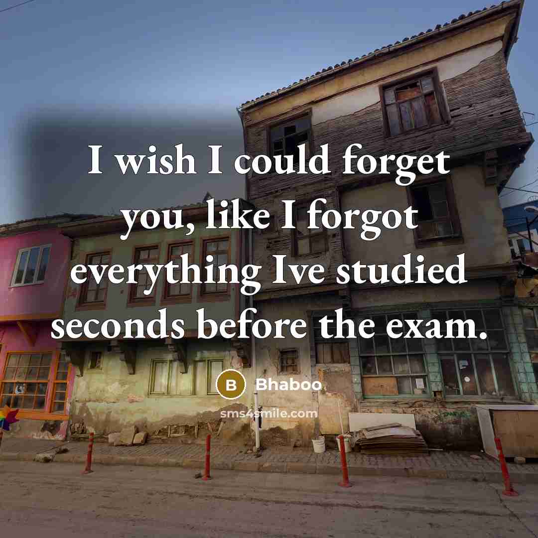 “I wish I could forget you, like I forgot everything…” quote by Bhaboo