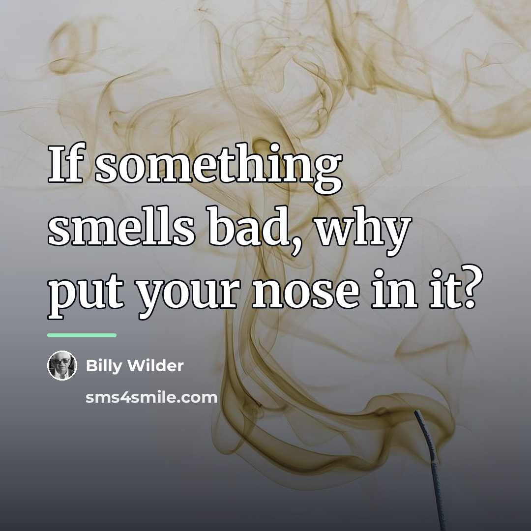 “If something smells bad, why put your nose in it?…” quote by Billy Wilder