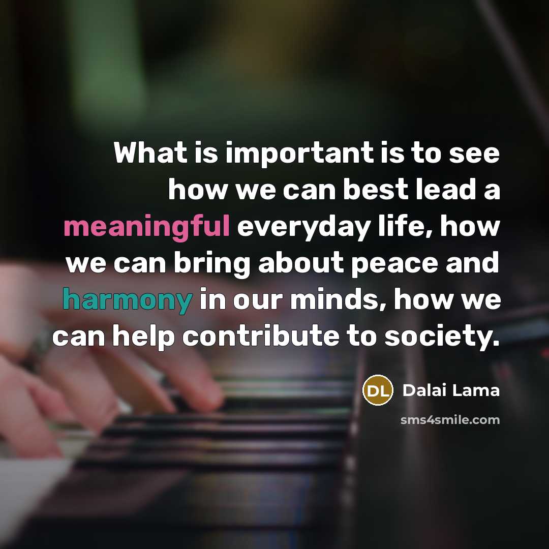 “What is important is to see how we can best…” quote by Dalai Lama