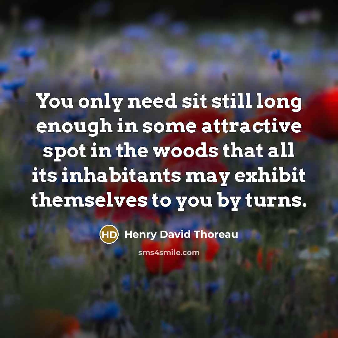 “You only need sit still long enough in some attractive…” quote by Henry David Thoreau