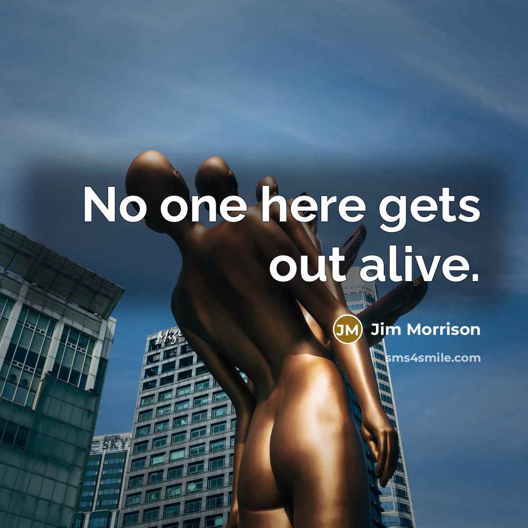 “No one here gets out alive.…” quote by Jim Morrison