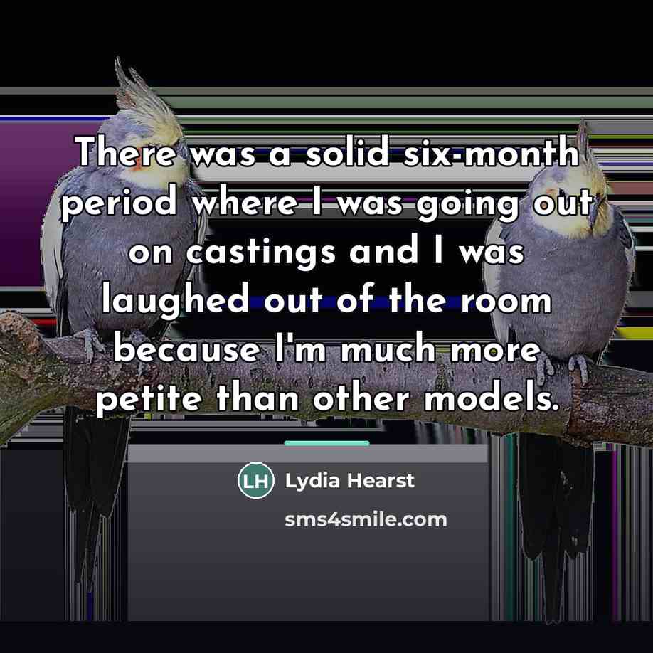 “There was a solid six-month period where I was going…” quote by Lydia Hearst