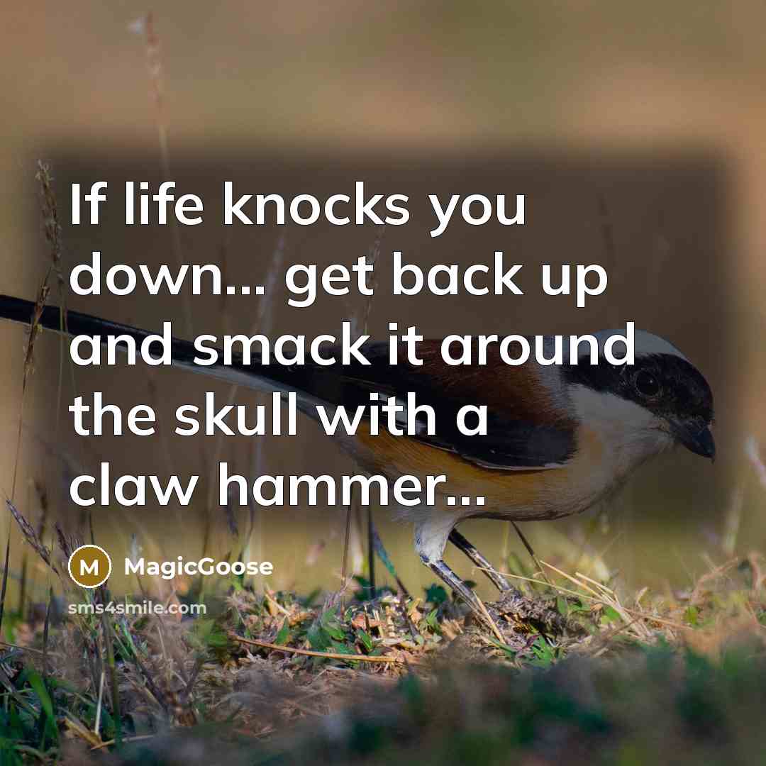“If life knocks you down... get back up and smack…” quote by MagicGoose