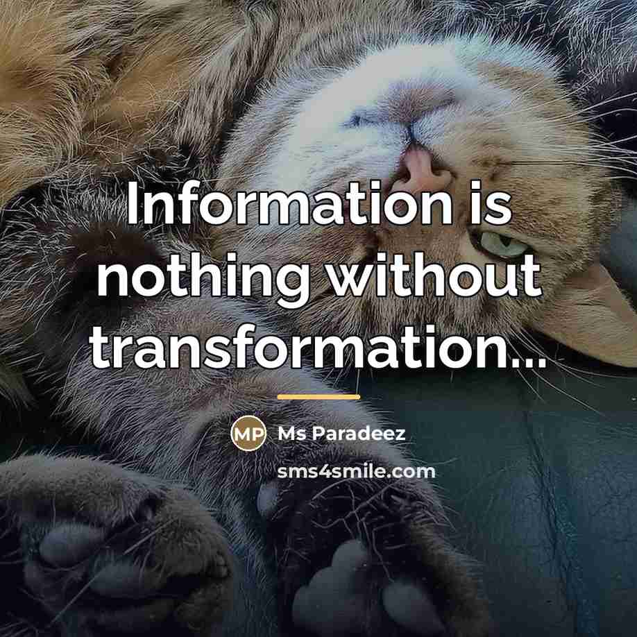 “Information is nothing without transformation...…” quote by Ms Paradeez