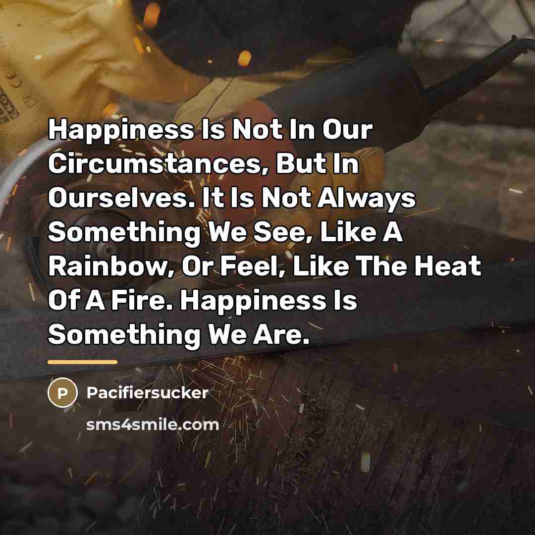 “Happiness Is Not In Our Circumstances, But In Ourselves. It…” quote by Pacifiersucker