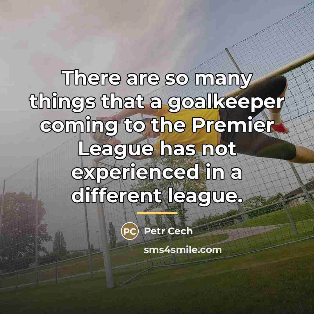 “There are so many things that a goalkeeper coming to…” quote by Petr Cech