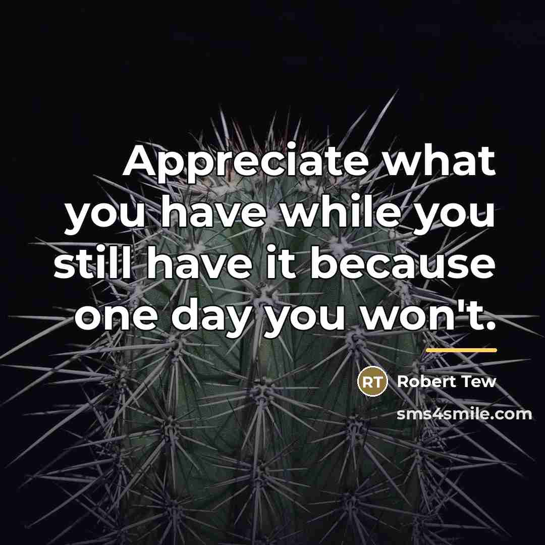 “Appreciate what you have while you still have it because…” quote by Robert Tew
