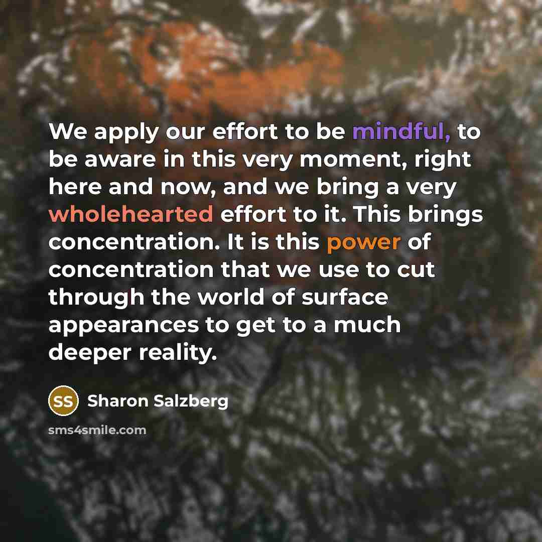“We apply our effort to be mindful, to be aware…” quote by Sharon Salzberg