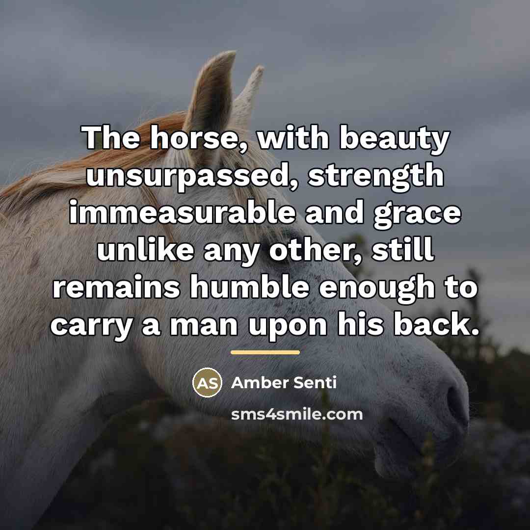 “The horse, with beauty unsurpassed, strength immeasurable and grace unlike…” quote by Amber Senti