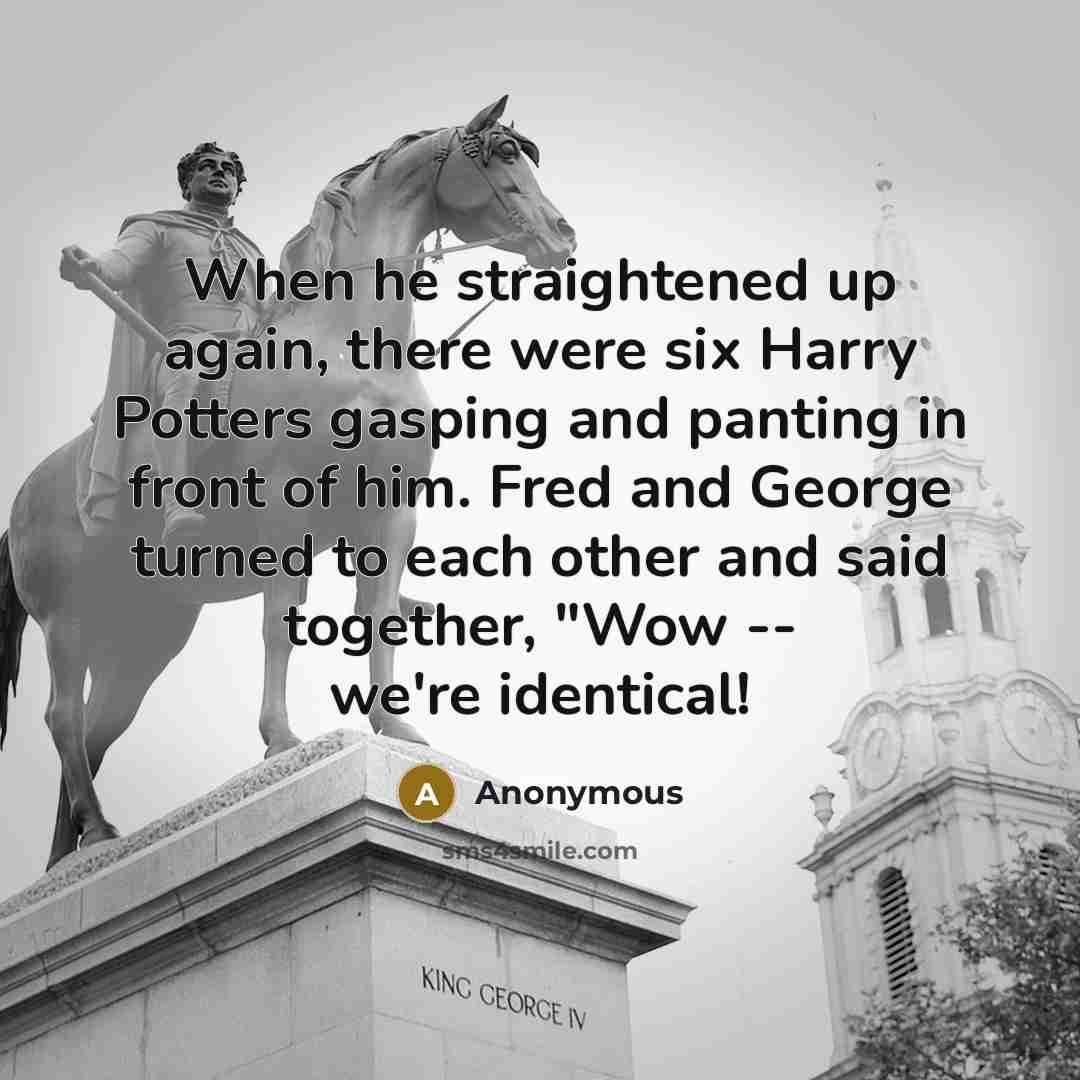 “When he straightened up again, there were six Harry Potters…” quote by Anonymous