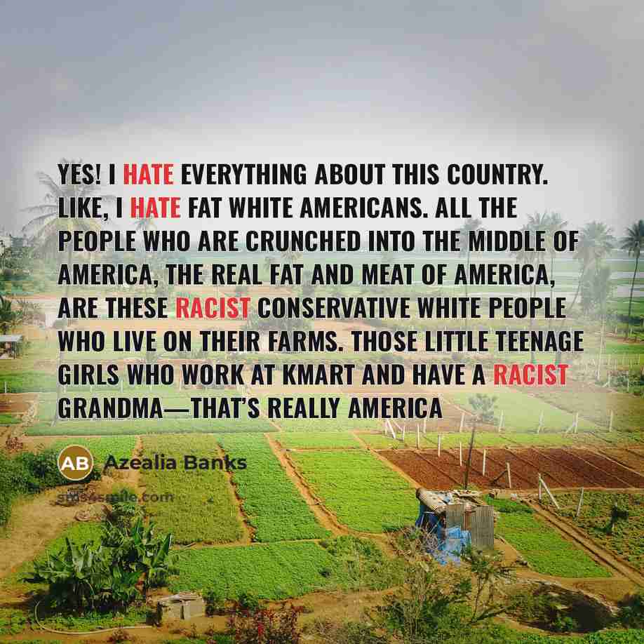 “Yes! I hate everything about this country. Like, I hate…” quote by Azealia Banks