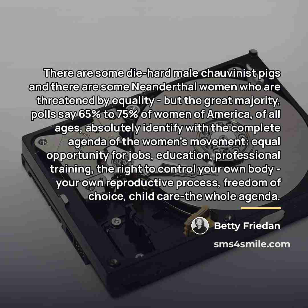 “There are some die-hard male chauvinist pigs and there are…” quote by Betty Friedan