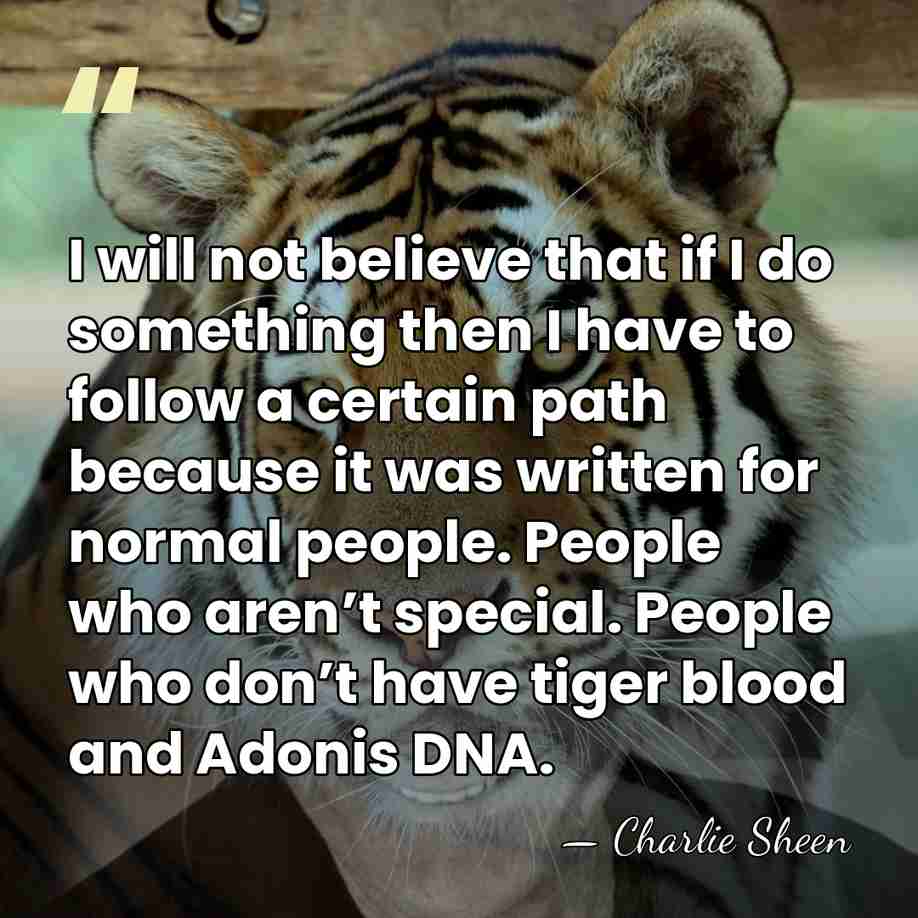 I will not believe that if I do something then I have&hellip; - Charlie Sheen