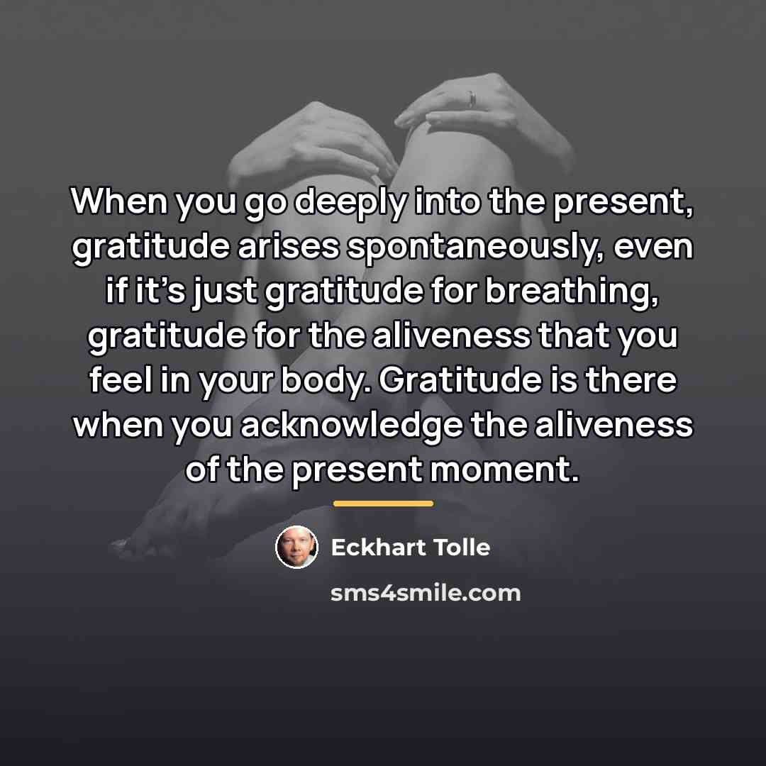 “When you go deeply into the present, gratitude arises spontaneously,…” quote by Eckhart Tolle