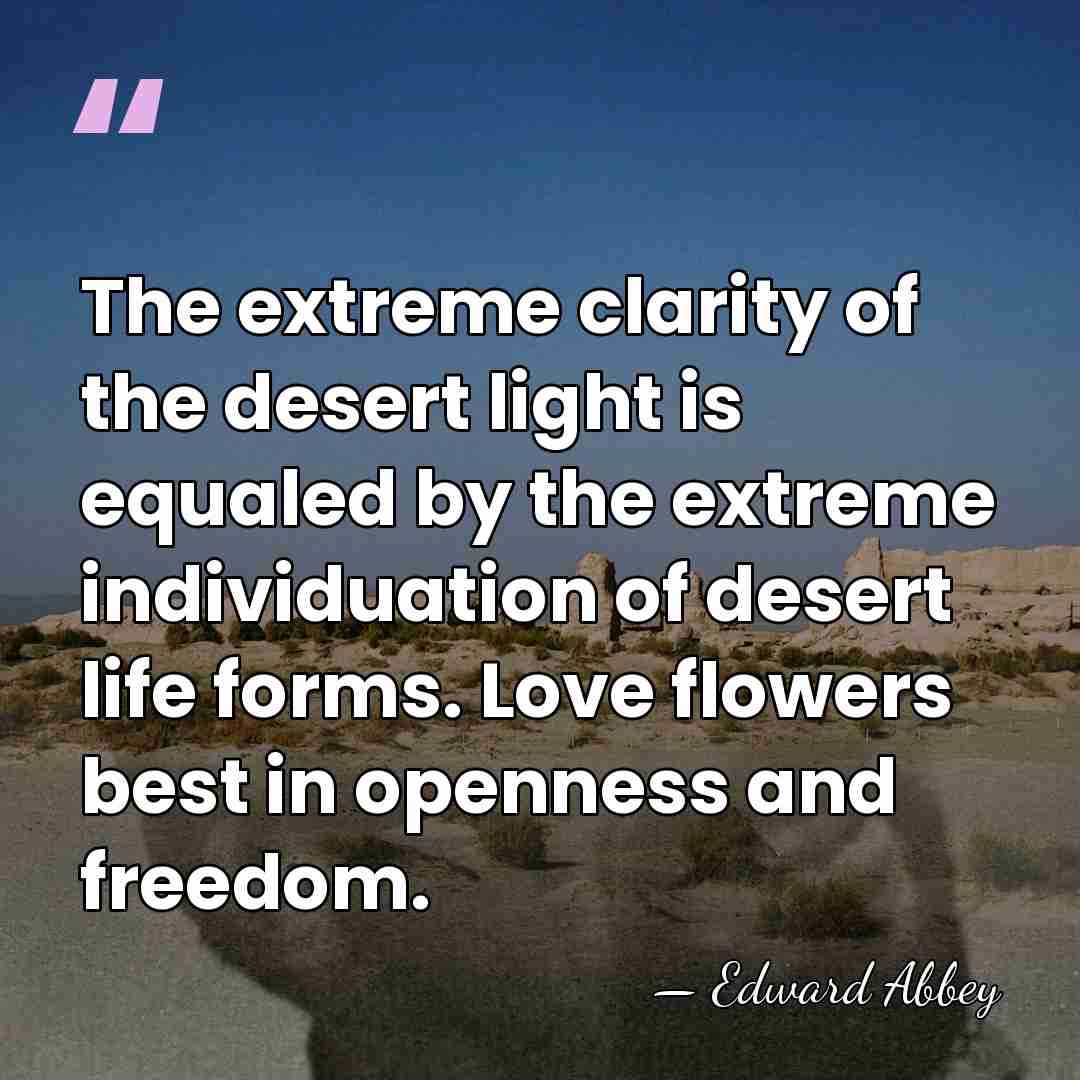 The extreme clarity of the desert light is equaled by the extreme&hellip; - Edward Abbey
